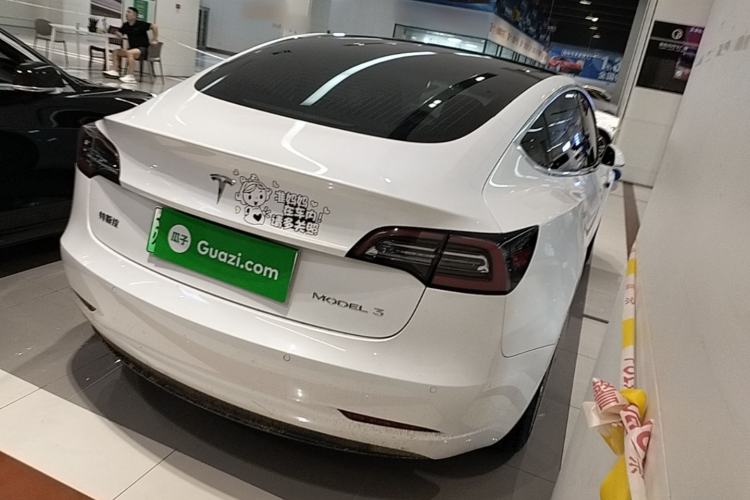 Used Tesla Model 3 2019 Standard Range Rear-Drive Upgraded Version Rear Right 45 Deg