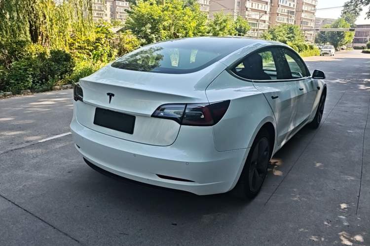 Used Tesla Model 3 2019 Standard Range Rear-Wheel Drive Upgraded Version (52 kWh) Rear Right 45 Deg