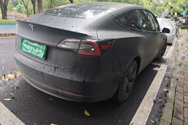 Used Tesla Model 3 2019 Standard Range Rear-Wheel Drive Upgraded Version (52 kWh) Rear Right 45 Deg
