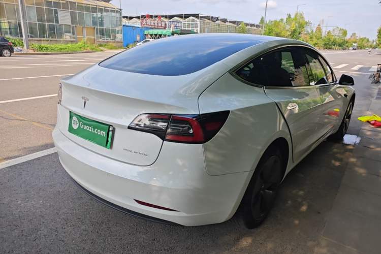 Used Tesla Model 3 2019 Long-Range All-Wheel-Drive Version Rear Right 45 Deg