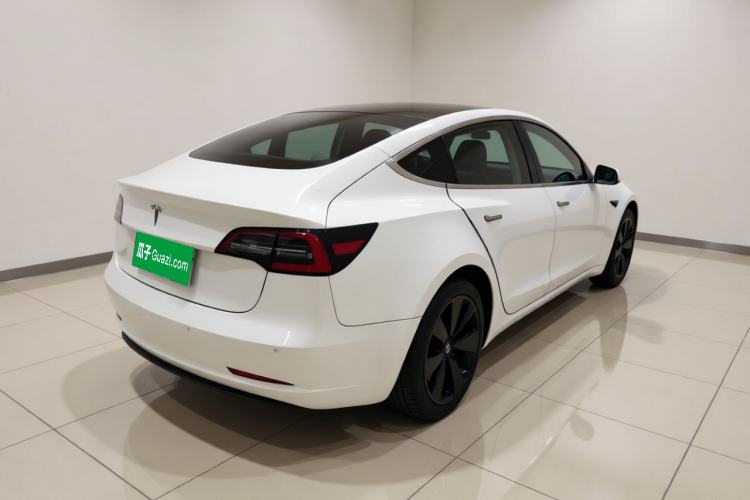 Used Tesla Model 3 2019 Long-Range Rear-Wheel-Drive Version Rear Right 45 Deg
