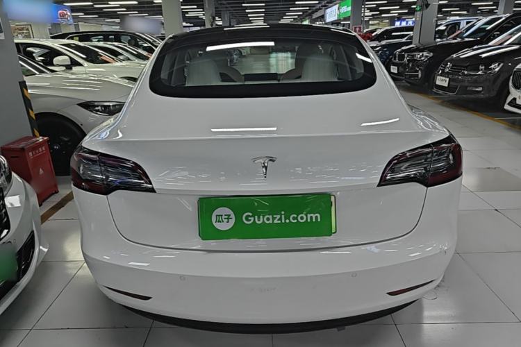 Used Tesla Model 3 2019 Long-Range Rear-Wheel-Drive Version Rear