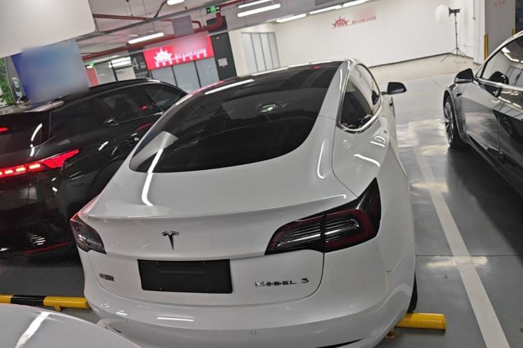 Used Tesla Model 3 2019 Standard Range Rear-Drive Upgraded Version Rear