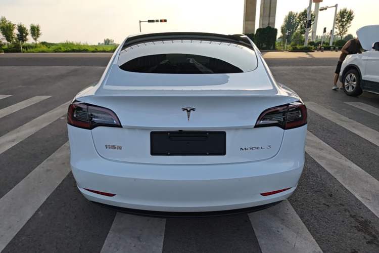 Used Tesla Model 3 2019 Standard Range Rear-Drive Upgraded Version Rear