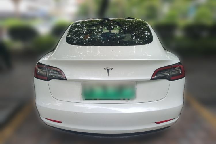 Used Tesla Model 3 2019 Standard Range Rear-Wheel Drive Upgraded Version (60 kWh) Rear