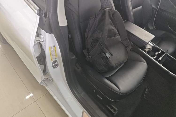 Used Tesla Model 3 2019 Standard Range Rear-Wheel Drive Upgraded Version (60 kWh) Right Front Seat