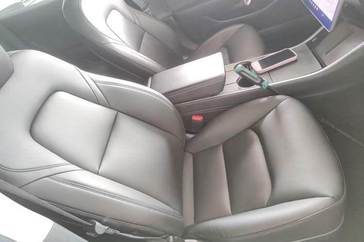 Used Tesla Model 3 2019 Standard Range Rear-Drive Upgraded Version Right Front Seat