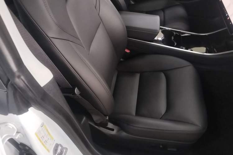 Used Tesla Model 3 2019 Standard Range Rear-Drive Upgraded Version Right Front Seat