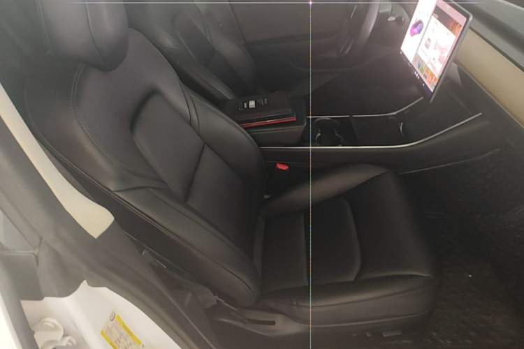 Used Tesla Model 3 2019 Standard Range Rear-Wheel Drive Upgraded Version (52 kWh) Right Front Seat