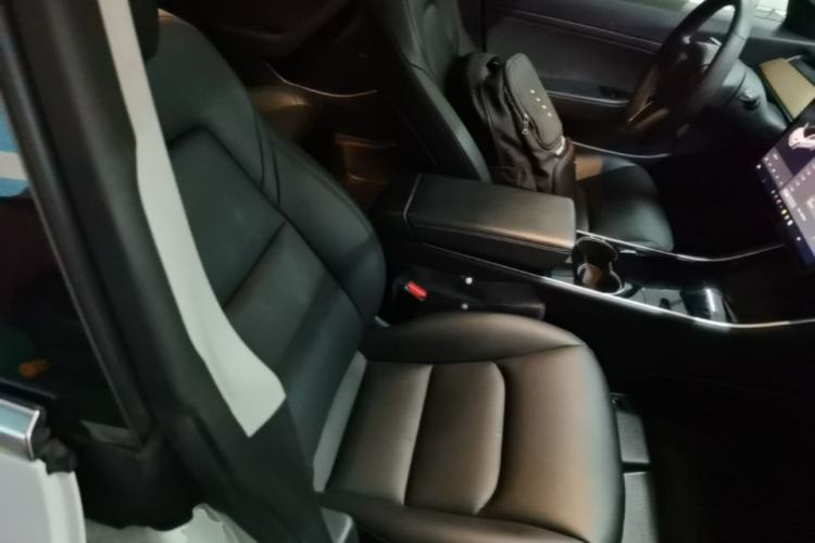 Used Tesla Model 3 2019 Standard Range Rear-Drive Upgraded Version Right Front Seat