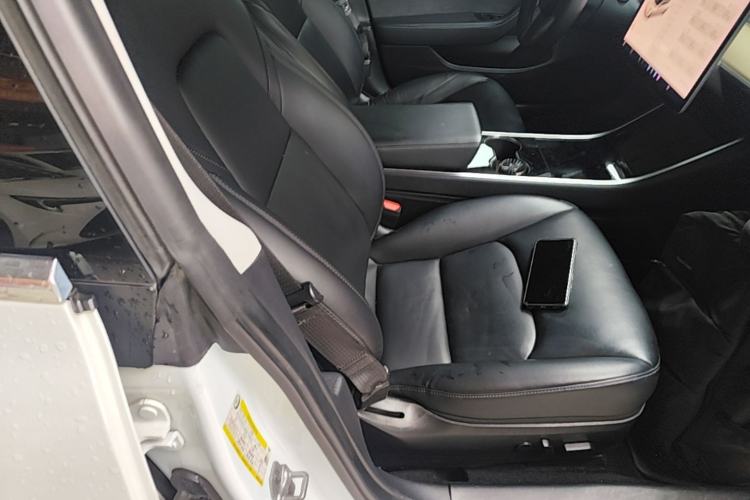 Used Tesla Model 3 2019 Standard Range Rear-Wheel Drive Upgraded Version (52 kWh) Right Front Seat