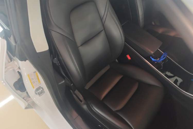 Used Tesla Model 3 2019 Standard Range Rear-Drive Upgraded Version Right Front Seat