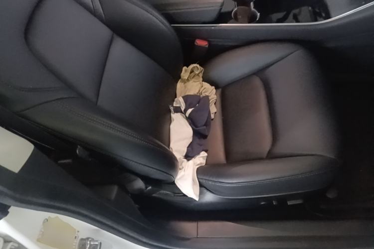Used Tesla Model 3 2019 Long-Range Rear-Wheel-Drive Version Right Front Seat