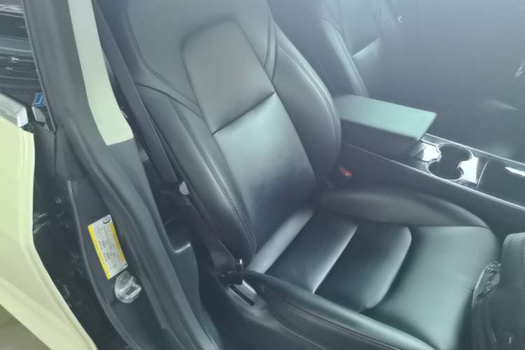 Used Tesla Model 3 2019 Standard Range Rear-Drive Upgraded Version Right Front Seat