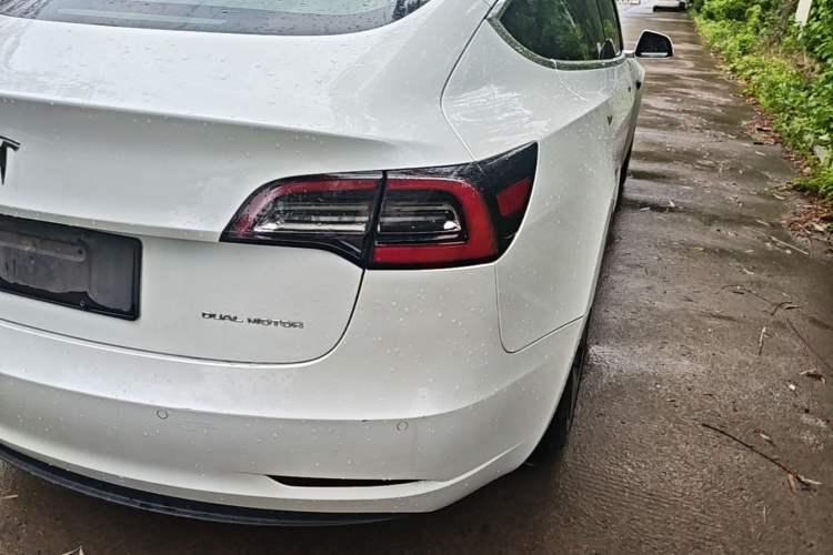 Used Tesla Model 3 2019 Long-Range All-Wheel-Drive Version Right Rear Taillight