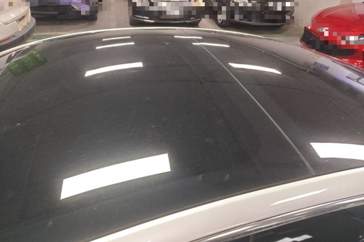 Used Tesla Model 3 2019 Long-Range All-Wheel-Drive Version Roof