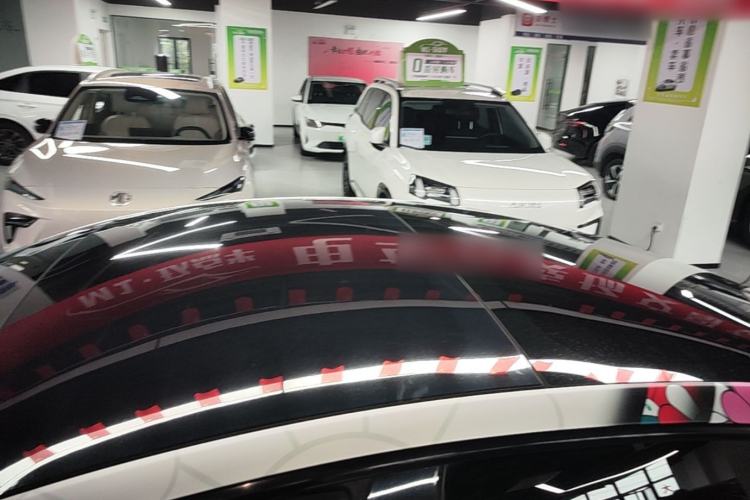 Used Tesla Model 3 2019 Long-Range All-Wheel-Drive Version Roof