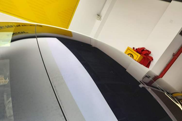 Used Tesla Model 3 2019 Long-Range Rear-Wheel-Drive Version Roof