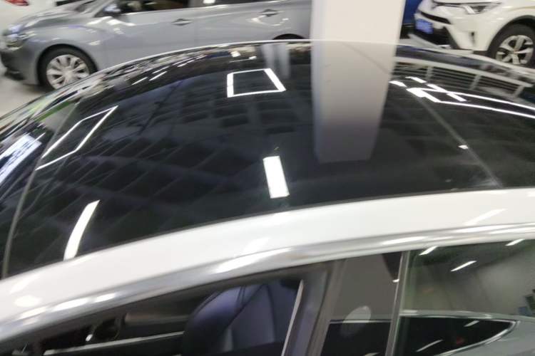 Used Tesla Model 3 2019 Standard Range Rear-Drive Upgraded Version Roof