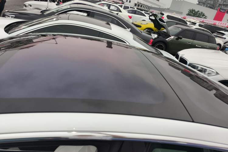 Used Tesla Model 3 2019 Long-Range Rear-Wheel-Drive Version Roof