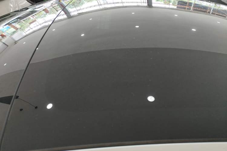 Used Tesla Model 3 2019 Standard Range Rear-Wheel Drive Upgraded Version (60 kWh) Roof