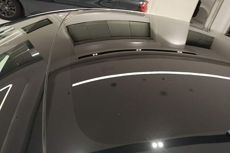 Used Tesla Model 3 2019 Performance High-Performance All-Wheel-Drive Version Roof