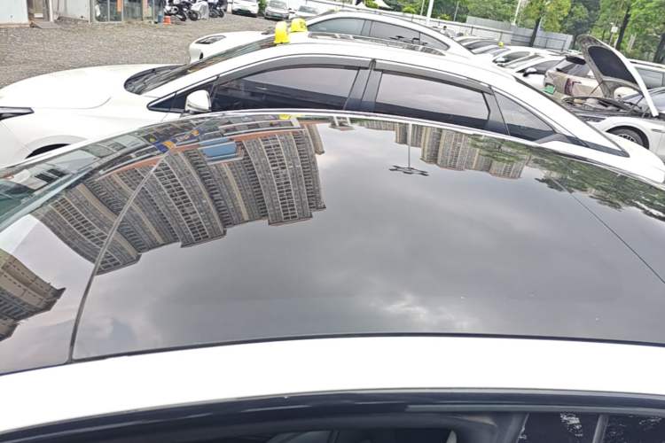 Used Tesla Model 3 2019 Standard Range Rear-Drive Upgraded Version Roof