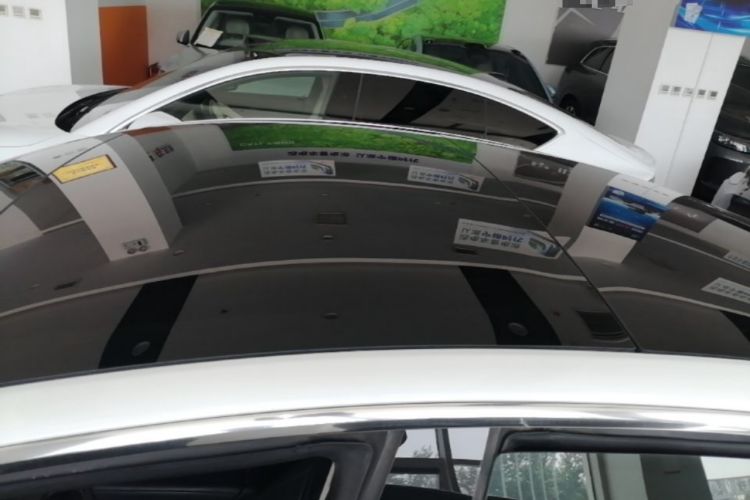 Used Tesla Model 3 2019 Standard Range Rear-Wheel Drive Upgraded Version (60 kWh) Roof