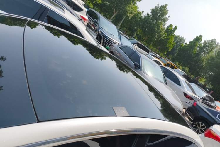 Used Tesla Model 3 2019 Standard Range Rear-Wheel Drive Upgraded Version (60 kWh) Roof