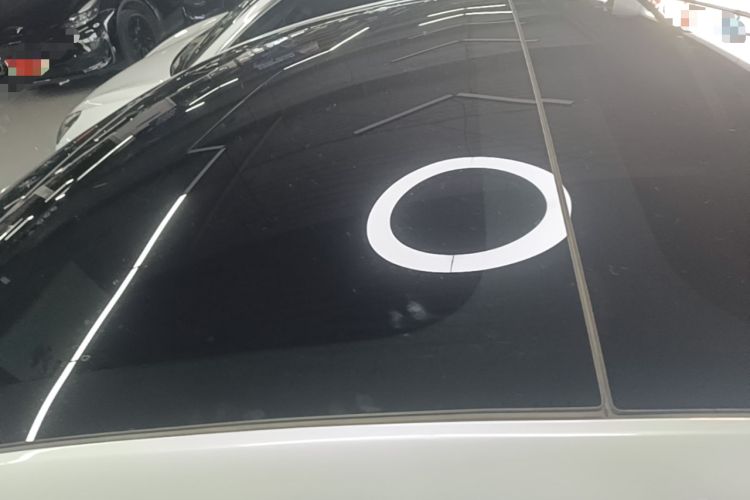 Used Tesla Model 3 2019 Standard Range Rear-Wheel Drive Upgraded Version (52 kWh) Roof
