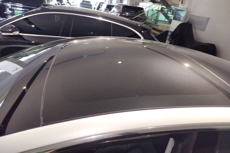Used Tesla Model 3 2019 Long-Range Rear-Wheel-Drive Version Roof