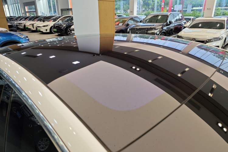 Used Tesla Model 3 2019 Long-Range Rear-Wheel-Drive Version Roof