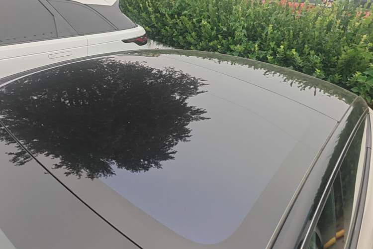 Used Tesla Model 3 2019 Long-Range All-Wheel-Drive Version Roof