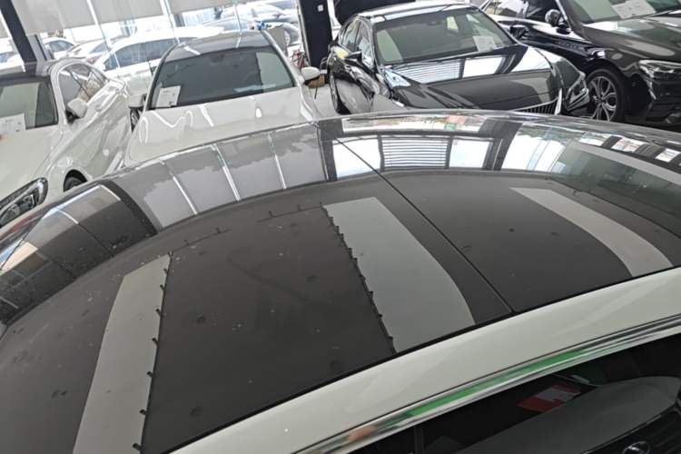 Used Tesla Model 3 2019 Long-Range Rear-Wheel-Drive Version Roof
