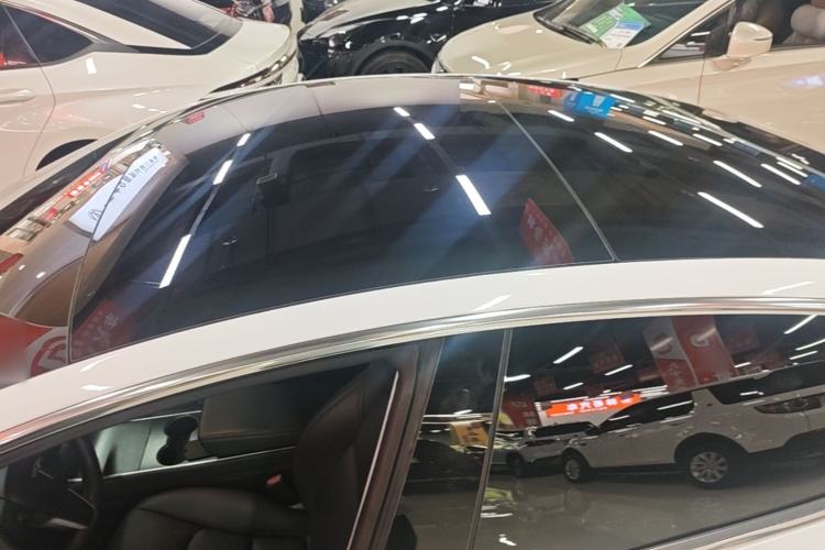 Used Tesla Model 3 2019 Long-Range Rear-Wheel-Drive Version Roof