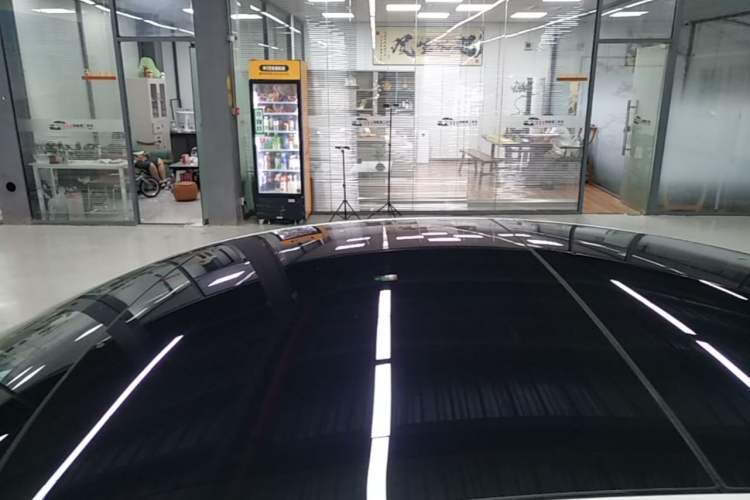 Used Tesla Model 3 2019 Long-Range All-Wheel-Drive Version Roof