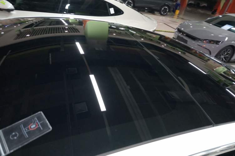 Used Tesla Model 3 2019 Standard Range Rear-Wheel Drive Upgraded Version (52 kWh) Roof