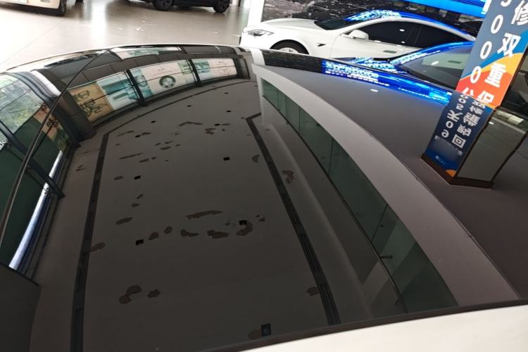 Used Tesla Model 3 2019 Long-Range Rear-Wheel-Drive Version Roof