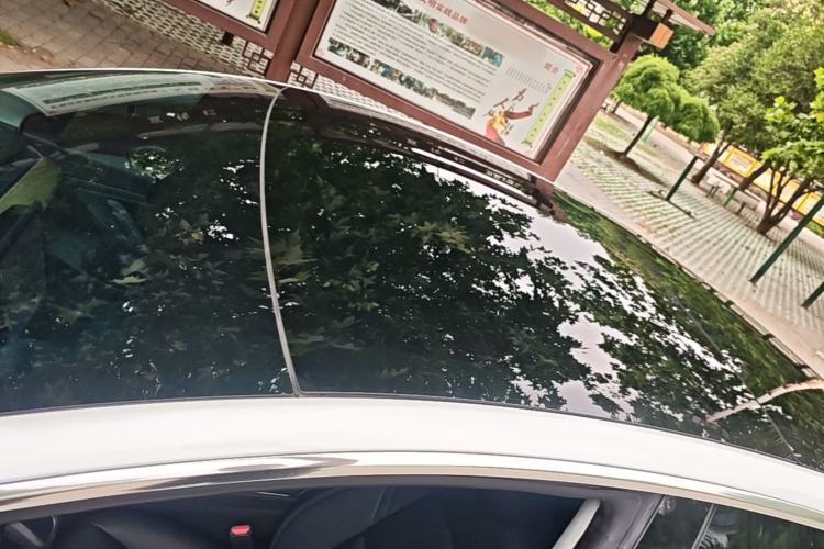 Used Tesla Model 3 2019 Standard Range Rear-Wheel Drive Upgraded Version (52 kWh) Roof