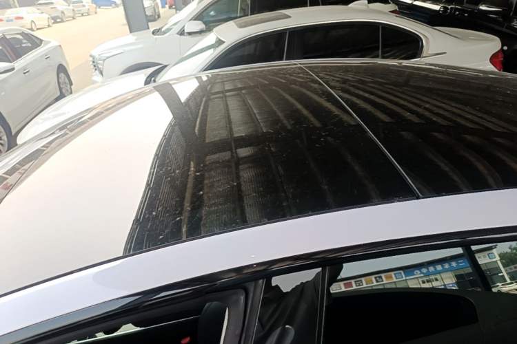 Used Tesla Model 3 2019 Long-Range Rear-Wheel-Drive Version Roof