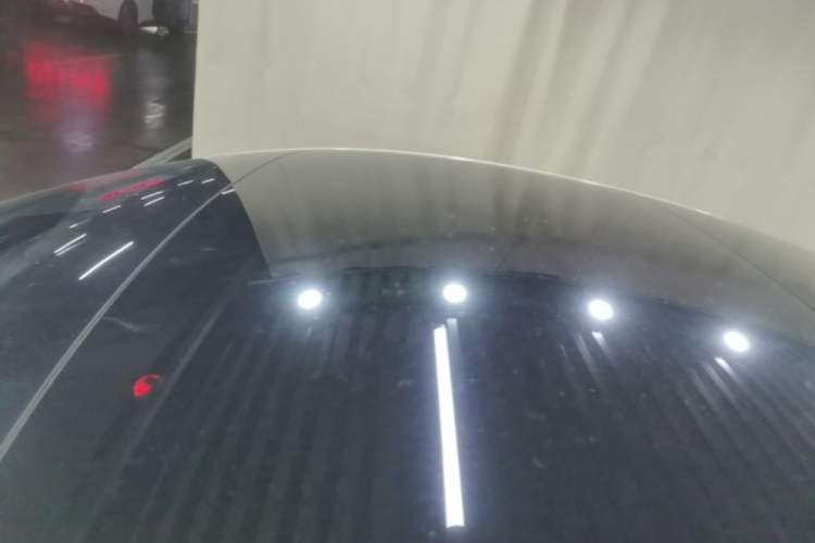 Used Tesla Model 3 2019 Standard Range Rear-Wheel Drive Upgraded Version (60 kWh) Roof