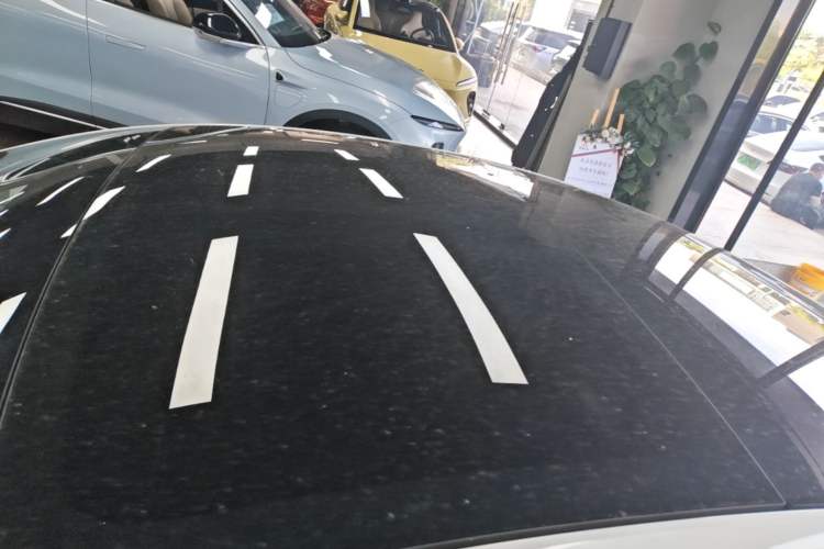 Used Tesla Model 3 2019 Long-Range Rear-Wheel-Drive Version Roof