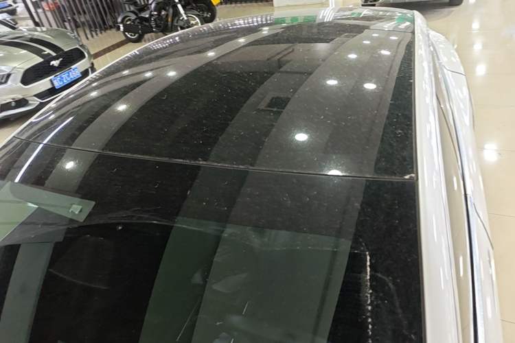 Used Tesla Model 3 2019 Standard Range Rear-Wheel Drive Upgraded Version (60 kWh) Roof