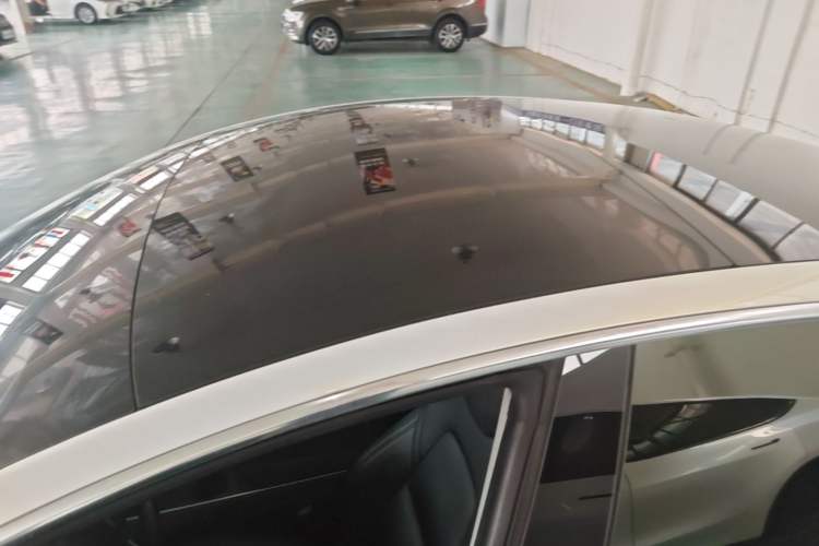Used Tesla Model 3 2019 Standard Range Rear-Drive Upgraded Version Roof