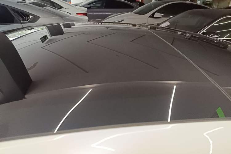Used Tesla Model 3 2019 Long-Range All-Wheel-Drive Version Roof
