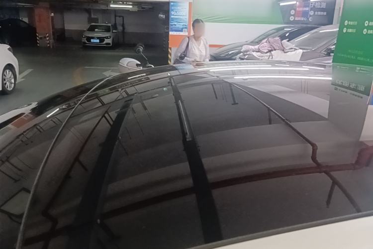 Used Tesla Model 3 2019 Long-Range Rear-Wheel-Drive Version Roof