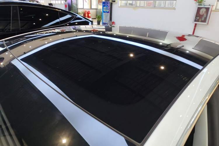 Used Tesla Model 3 2019 Standard Range Rear-Drive Upgraded Version Roof