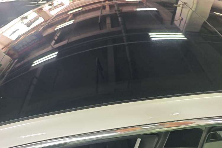 Used Tesla Model 3 2019 Long-Range All-Wheel-Drive Version Roof