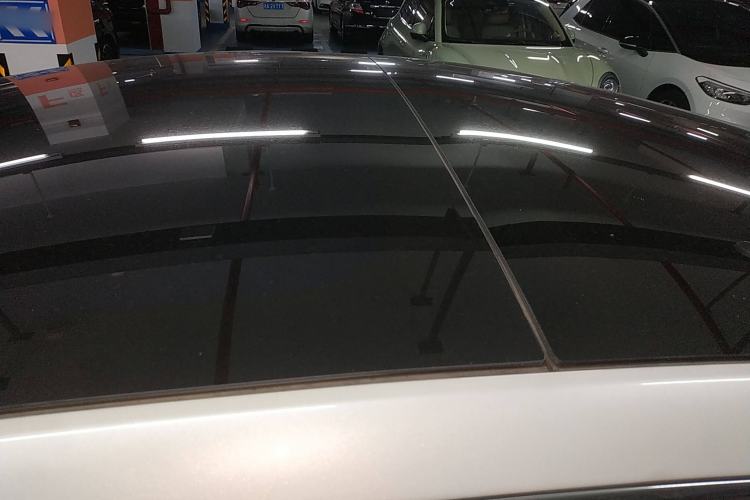 Used Tesla Model 3 2019 Long-Range Rear-Wheel-Drive Version Roof