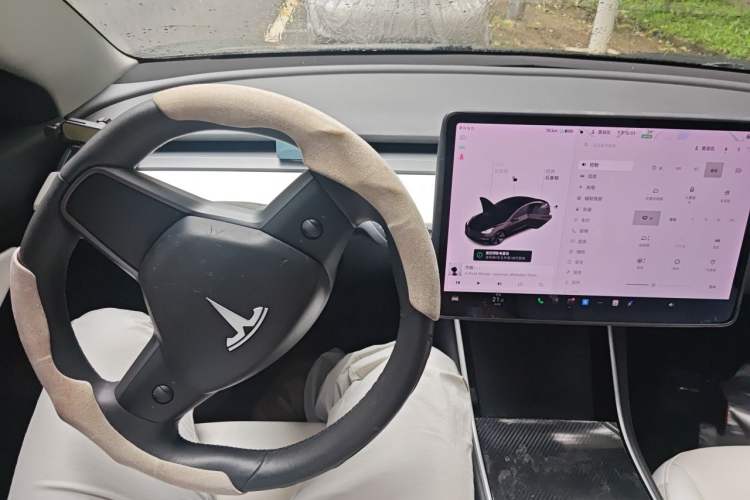 Used Tesla Model 3 2019 Standard Range Rear-Wheel Drive Upgraded Version (52 kWh) Steering Wheel